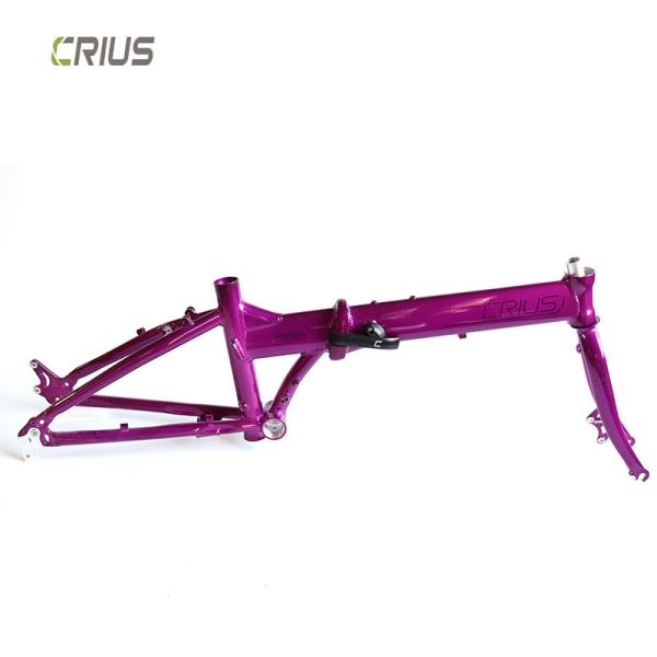 9 vitesses de vitesse Crius 20 pouces Master D Route Folding Bike avec frein en V et hommes de course