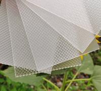 Feuille de diffuseur de toiture plate solide en polycarbonate givré de 1,5 à 10 mm