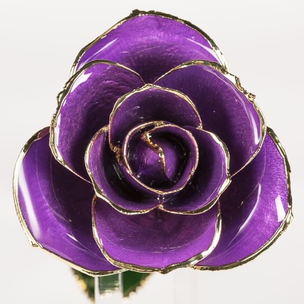 24k Gold Trimmed Rose  Preserved Fresh Flower  Resin Preservation Eternal Rose Mother's Day Valentine's Day Christmas Gif