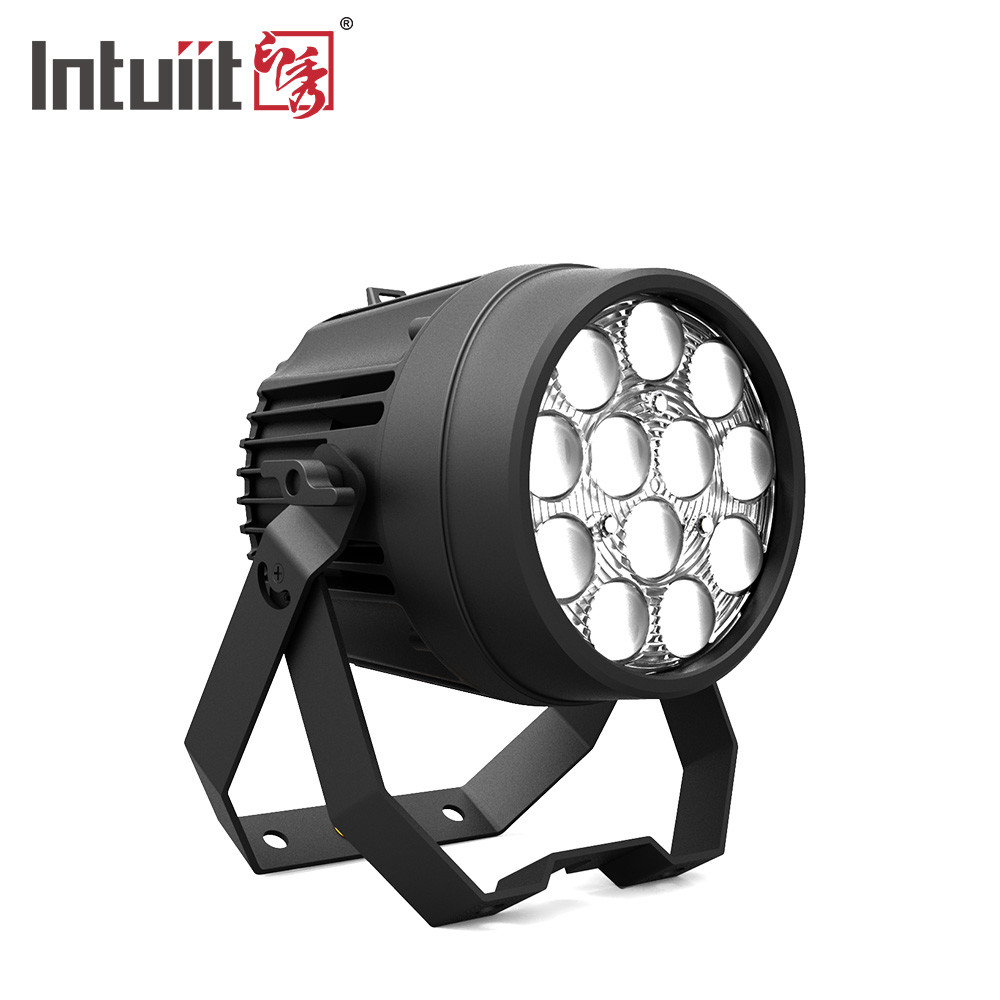 12x10W Мощные диско лампы DMX 512 Звукоактивированные светодиодные лампы