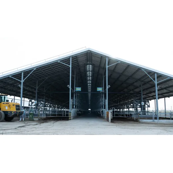 Customized Design Large Span Prefabricated Prefab Galvanized Metal Steel Structure Frame Sandwich Panel Factory Workshop