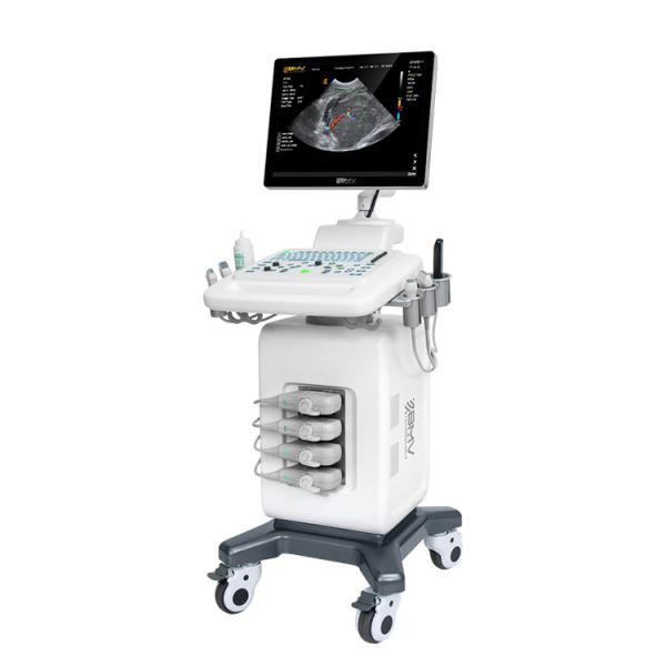 BPU90 Color Doppler Ultrasound System Trolley stand Ultrasound Machine veterinary ultrasound for pets