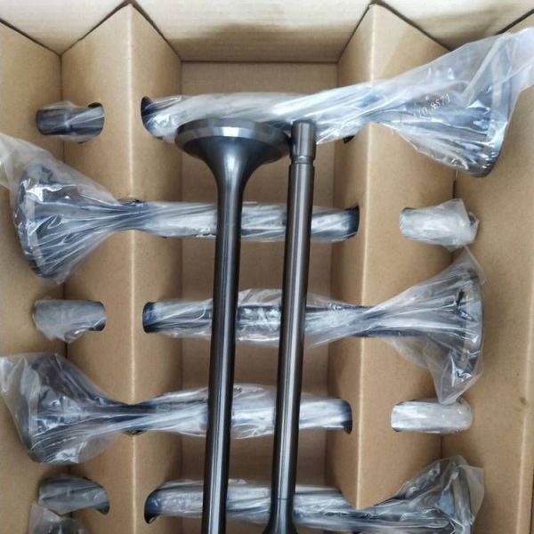 Jichai Chidong 190 Series Engine Parts for Intake Valve and Exhaust Valve 12VB. 03.22