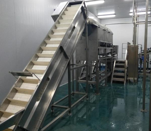 6000LPH Automatic Control Fruit Processing Equipment For Coconut Milk Drink