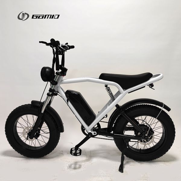 48V 500W City Bike Long Range Retro E-Bike with Powerful Lithium Battery and Disc Brake