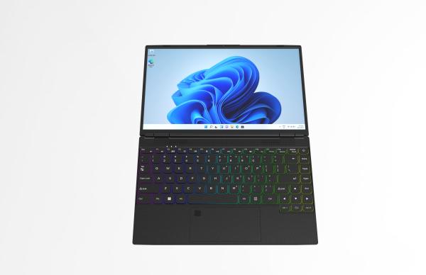 HL140G Customized Product Intel N95 Quad Core 3.4Ghz 7.6V/4500Mah 14Inch 1920*1200 Ips Uhd Screen Laptop Notebook Bt4.2