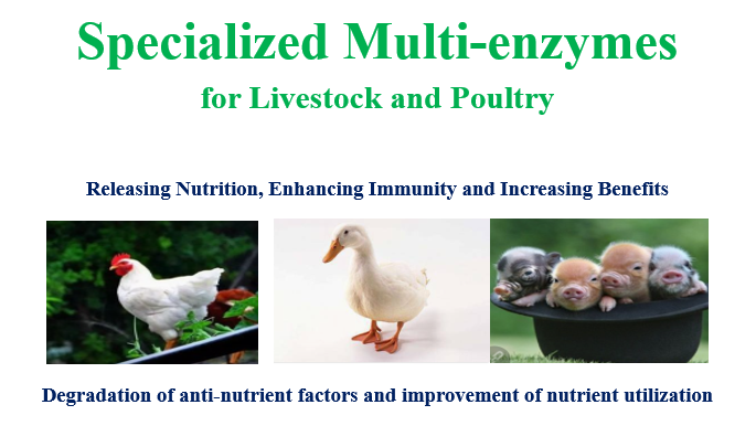 Animal Feed Multi-enzyme Compound Enzyme NSP Enzyme For Livestock Poultry Customized