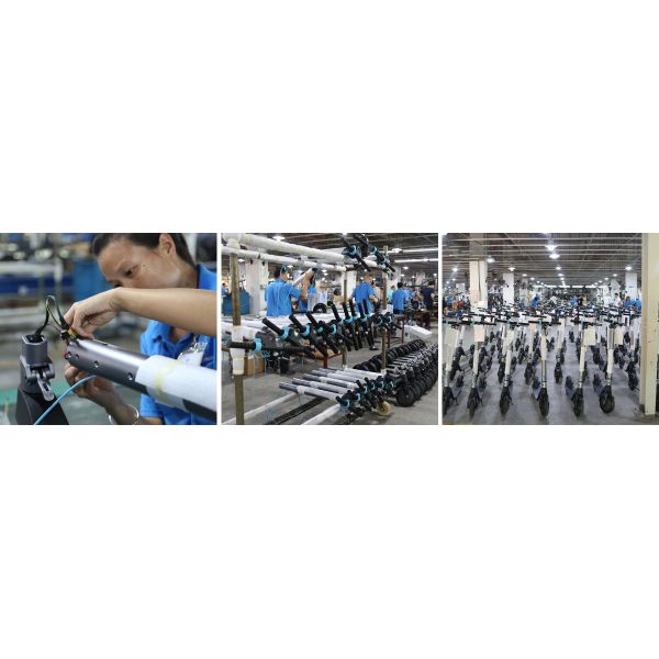 36V 250W Two Wheel Drive Electric Scooter 10 Inch Foldable Adult Electric Scooter