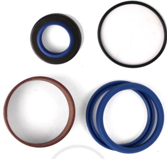 Vacuum Heating Process Molding Machine Rubber Oil Seal Mold