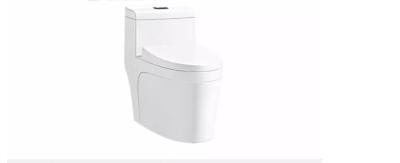 Intelligent Flushing Toilet Water Closet Seat One Piece Tall Elongated Toilets
