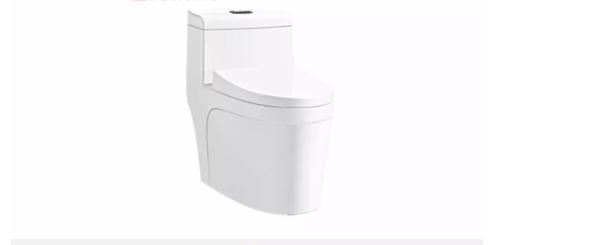 Intelligent Flushing Toilet Water Closet Seat One Piece Tall Elongated Toilets
