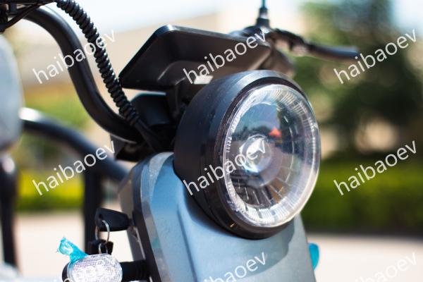 D18 500W Recreational Passenger Electric Tricycle
