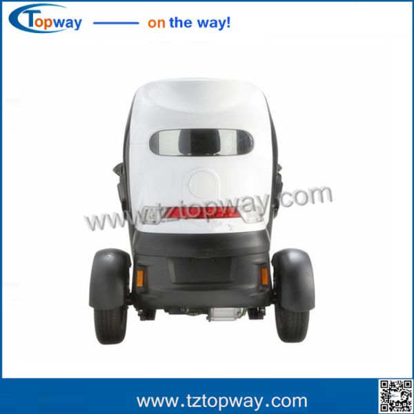 driving Mileage 70km mini fashion electric tricycle for leisure eco friendly