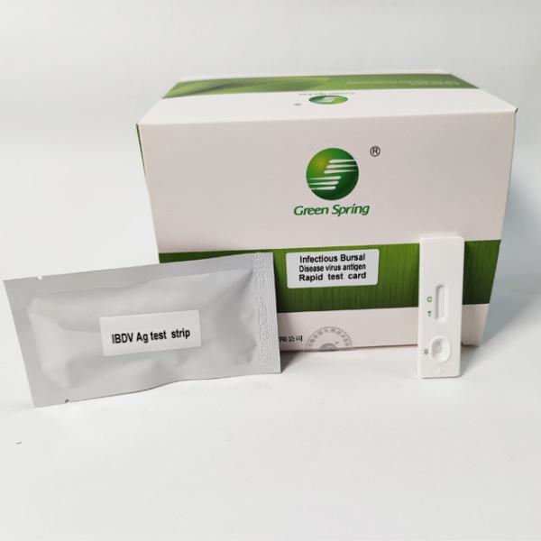 10min Infectious Bursal Disease (IBD) Avian Influenza Rapid Test Kit Antigen Elisa 50 Tests/Kit