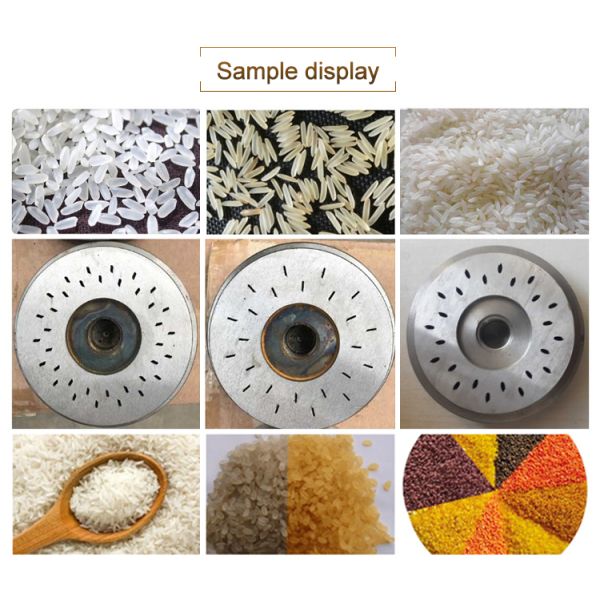 Machine de traitement du riz à double vis à haute automatisation 100 kg/h-900 kg/h Condition