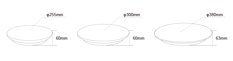 IP65 Waterproof Dimmable LED Ceiling Light with Emergency Function for Outdoor and Indoor Use