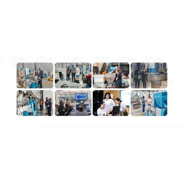 Fish Feed Production Line | Floating Fish Feed Pellet Making Machine | Small Sinking Shrimp Feed Extruder Machine