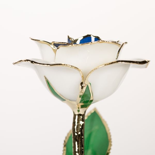 24K Gold Plated Rose Gifts Wholesale Preserved Factory  Gold Rose