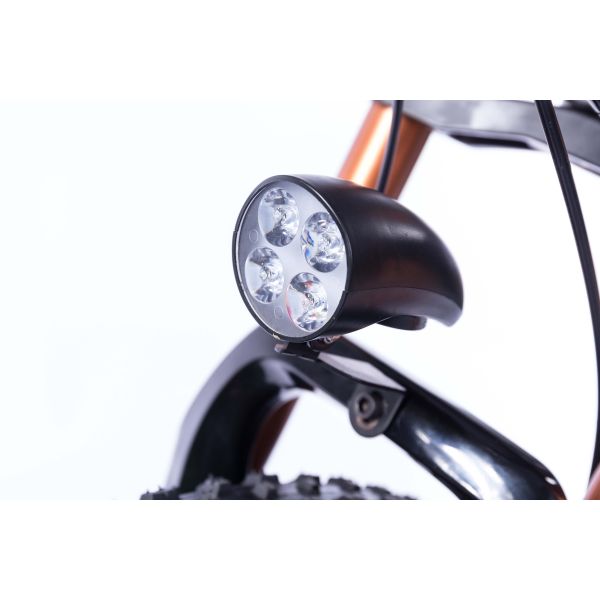 21 Speed Off Road Ebike , Snow Electric Mountain Bicycles Fat Tire 26 Inch