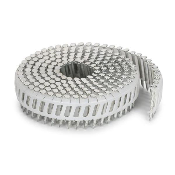 2,5 x prego ordenado galvanizado eletro da bobina da pata do parafuso de 32mm folha plástica