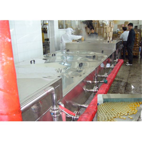 Stainless Steel Food Packaging Systems Mesh Belt Sterilization Machine
