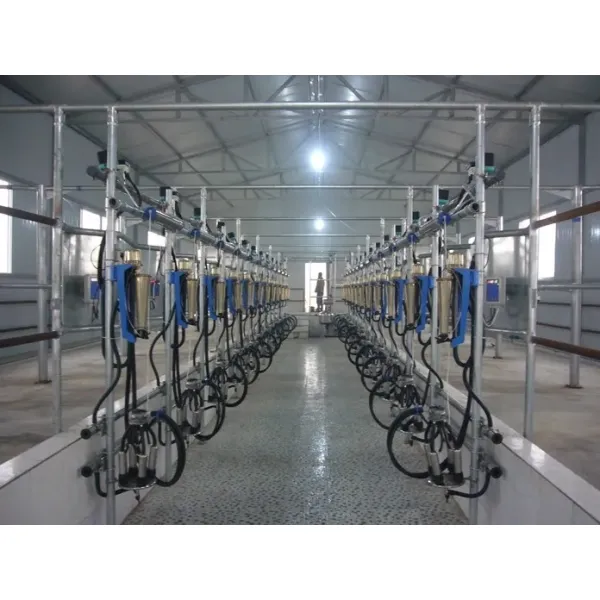 Milk Flow Meter Herring Bone Milking Parlor System CE ISO SGS FDA Certified Mobile Milking Machine
