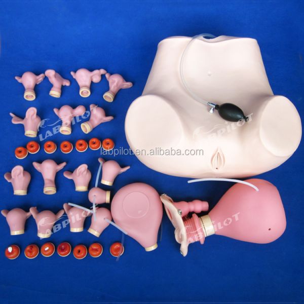 Comprehensive Gynecological Examination Training Manikin with Various Cervix and Uterus Models
