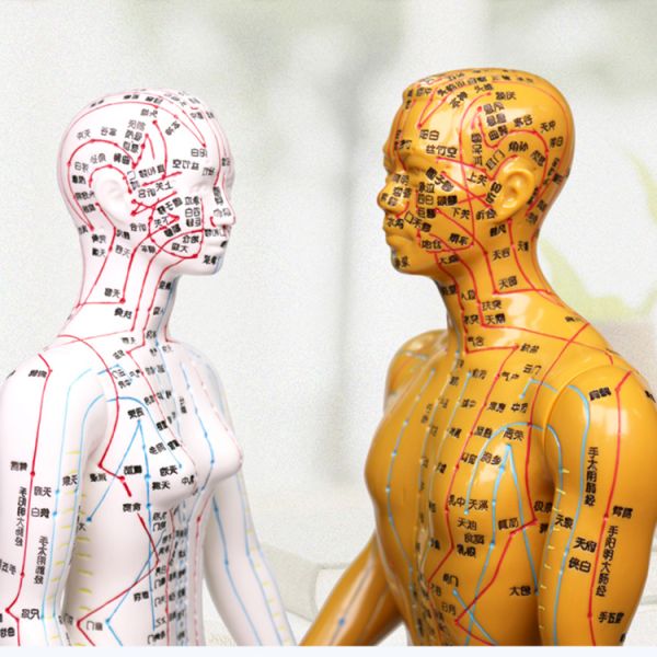 Bronze Human Body Acupuncture Model Manikin with Male Acupoints and Meridian Points