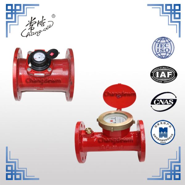 DN80mm~200mm Magnetic Drive Water Meter Removeable Woltman Domestic Water Meter