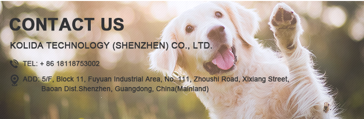 Adjustable Stylish Nylon Dog Collars All Seasons Customized Brand Logo