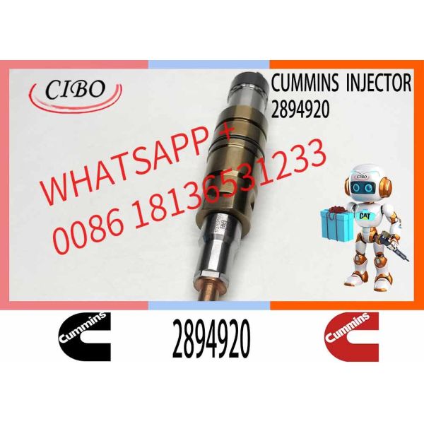 Parties de machines de construction Injecteur de carburant pour moteur diesel ISZ13 1881565 2872405 2894920 1948565 Pour moteur diesel Cummins