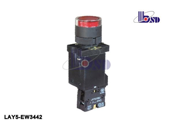 Automotive Momentary Push Button Switch 660 VAC LAY5（XB2）-EW3342
