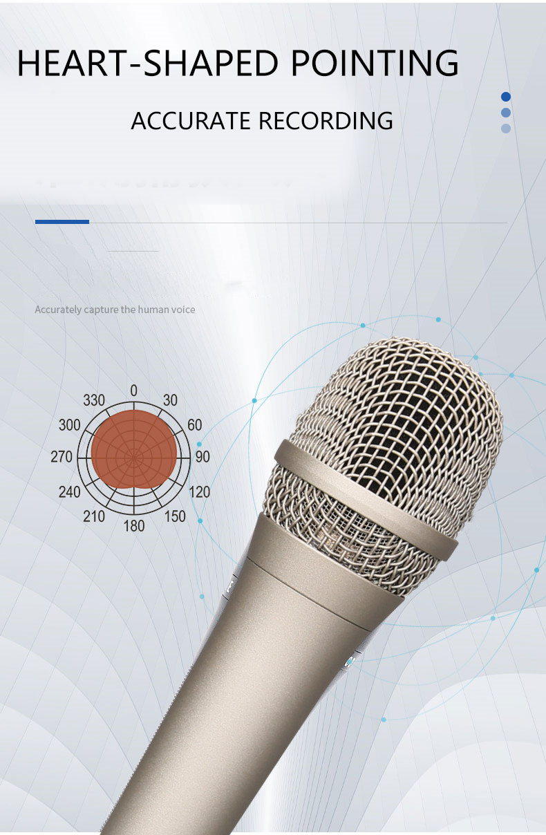 Караоке микрофона 12mv/PA студии дома ODM OEM поя Mic