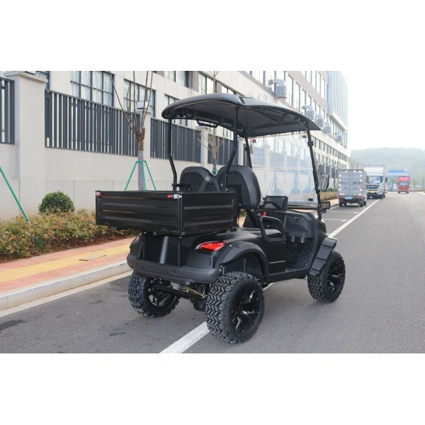 Multi-Purpose Utility Vehicle 2-Seater Golf Cart with Cargo Bed