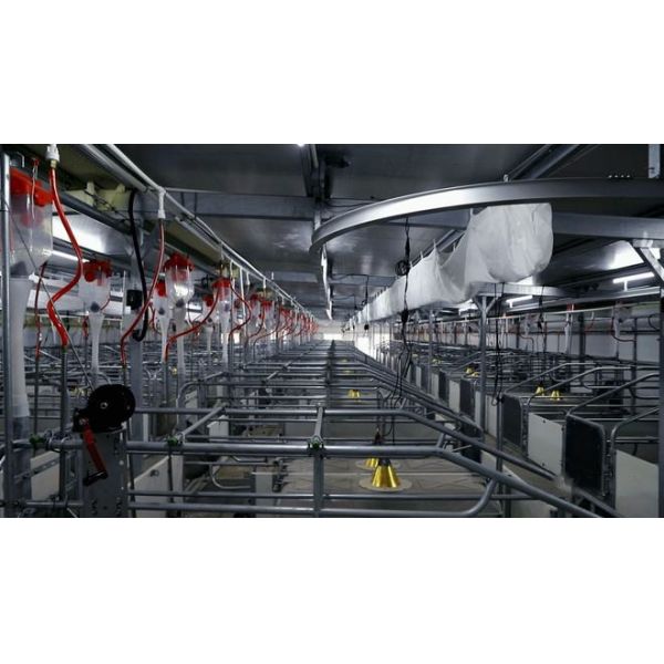 High Durability Livestock Farm Equipment With Automatic Drinking System