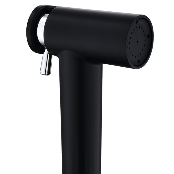 Hotel High Pressure Chromed Plastic Bidet Hand shower Spray gun for Toilet set