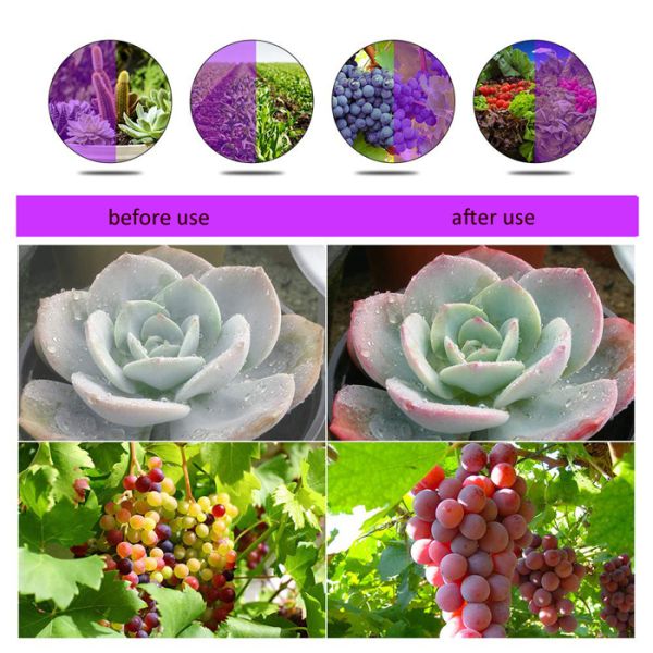 30 Watt Greenhouse LED Grow Lights Adjustable Arm 3000LM Flower Vegetable OEM Accepted