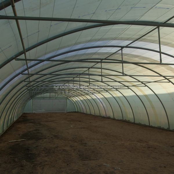 IGreen Small Single Layer Agricultural Greenhouse with Film Cover for Middle East & Gulf Countries and Desert Climate
