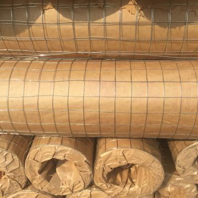 1/2*1m*14m galvanizou o fio soldado de aço Mesh Plain Weave