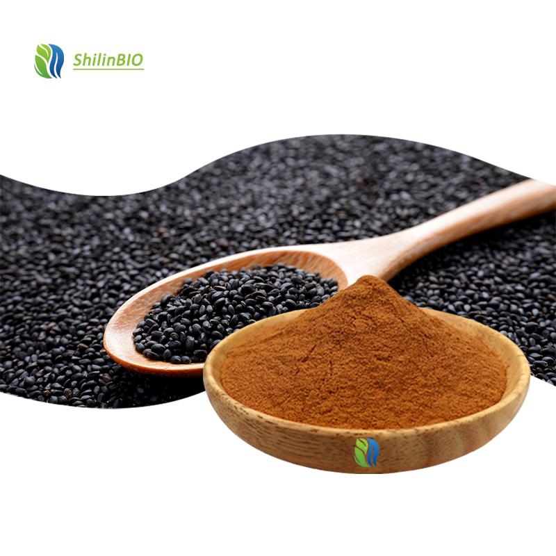 SLBIO Supply Black Sesame Extract Powder 10:1 20:1 30:1 Food Grade