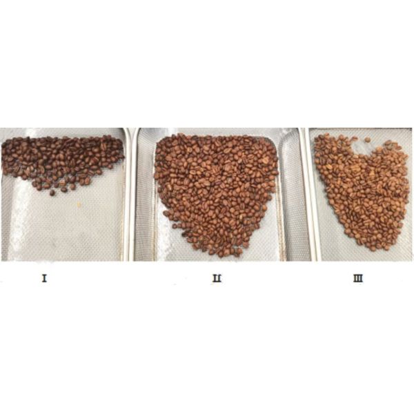 High-Precision 32-Channel Color Sorter for Dark Roast Coffee Beans