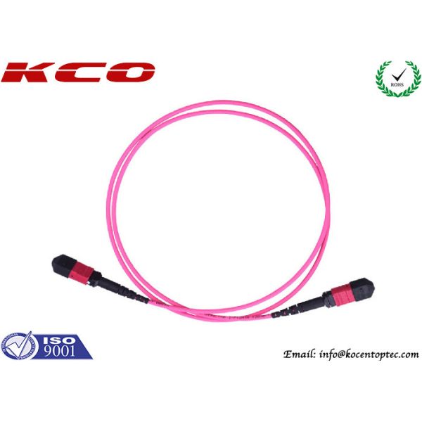 Multimode OM4 12fibers 24fibers 48fibers MPO MTP Trunk Cable LSZH Violet Pink Color