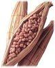 Antihyperlipidemic, NattaKinase 20000fu/g, 5000fu/g, Seabuckthorn Extract, flavonoids 10%, 20%, 30%, 40%, natural