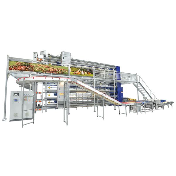 H Type 20000 Capacity Battery Layer Egg Chicken Cage with Automatic Cleaning