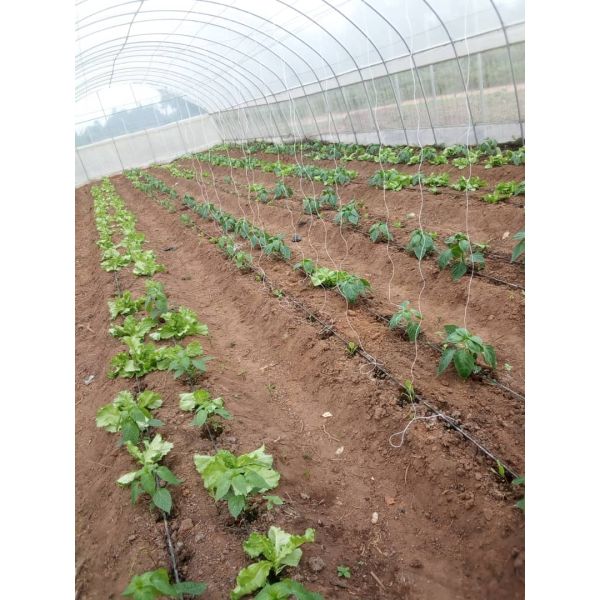 Система опылительного орошения парника потека для длины трубы PVC земледелия материальной Multi