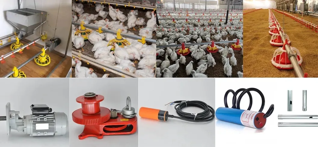 Chicken Poultry Equipment PP Materials Automatic Pan Feeding System Easy Clean