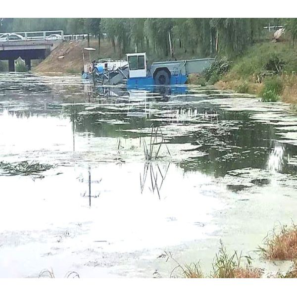 Hydraulic Control Diesel Engine Power River Cleaning Harvester for Sale