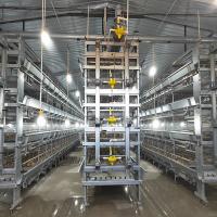 Le type immersion chaude de H d'équipement de volaille de grilleur de rangées du poulet 9 de viande a galvanisé