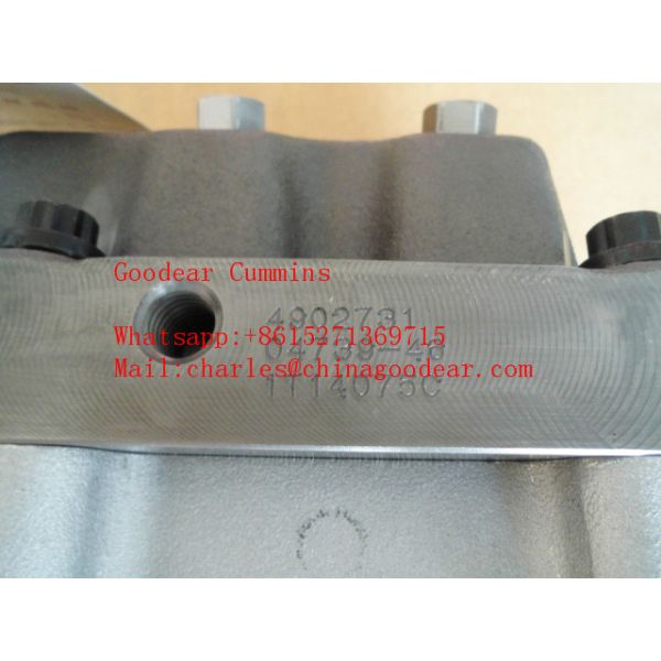 Dongfeng qsl diesel engine fuel injection pump 4902731