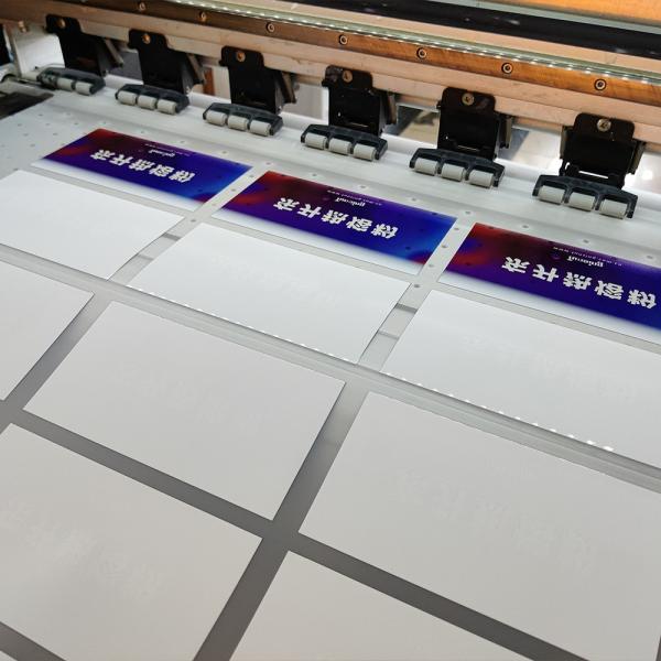 Double Sided Matte Hot Peel Film 30cm 33cm 60cm PET DTF Film